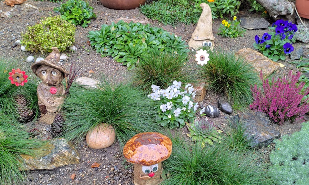Beautify Your Garden: Best Perennials for Any Yard Banner