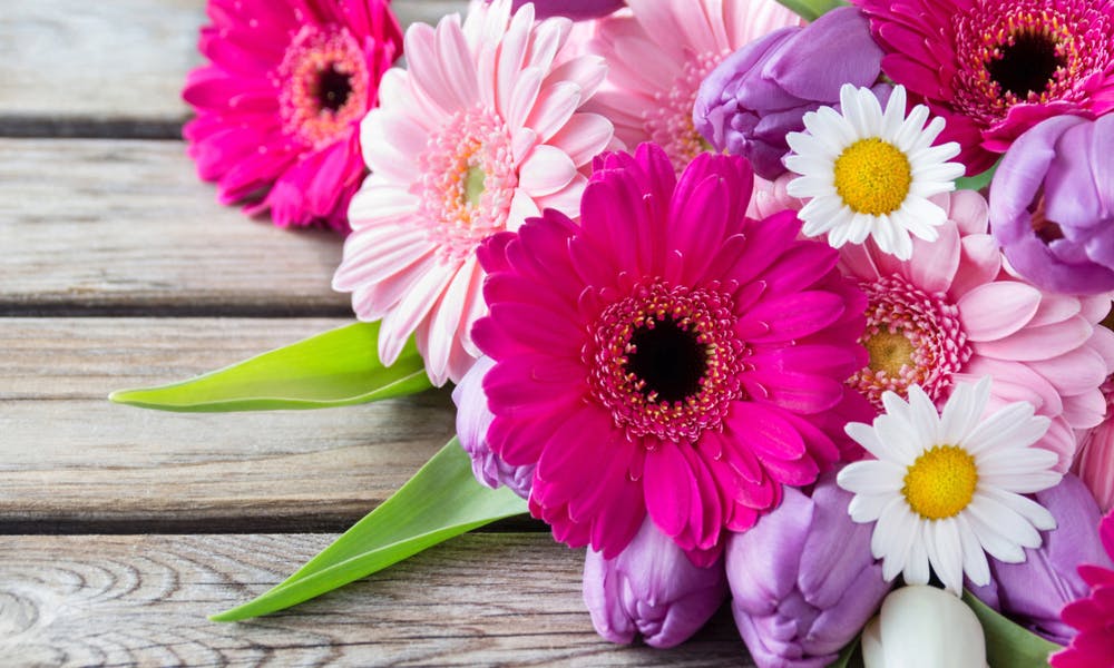 FloraQueen Coupons for Gerbera Daisy Bouquets Banner