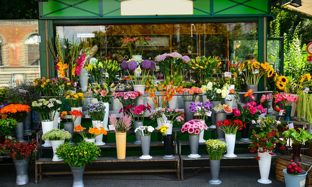 Comparing Different Services for Flower Delivery Near Me Banner