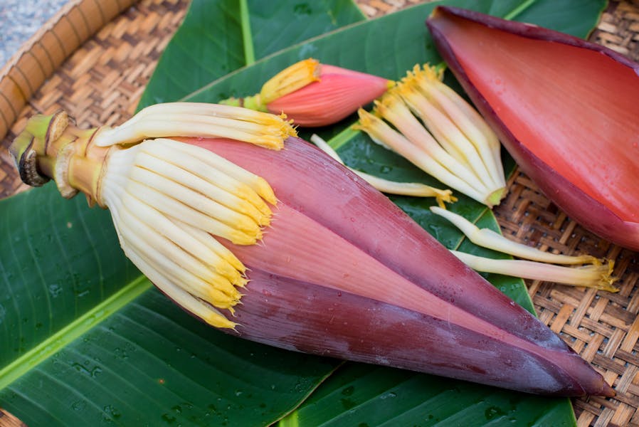 The Banana Blossom