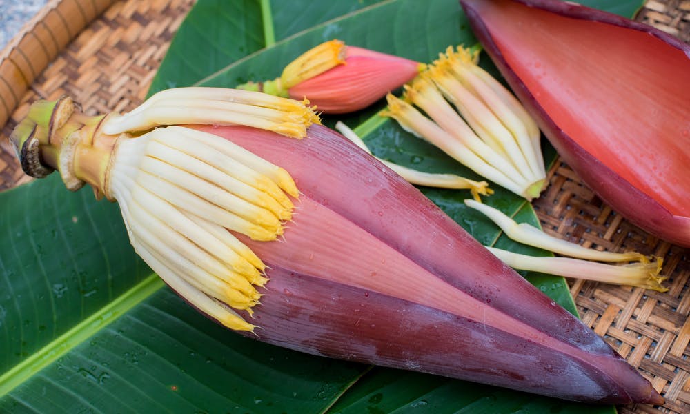 Baner Kwiatu Bananowca