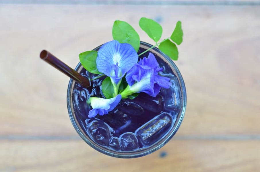 Butterfly Pea Flower