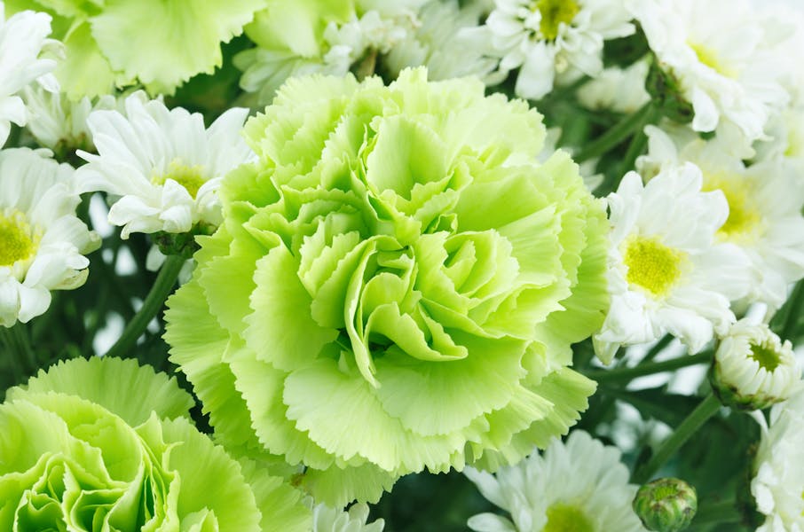 10 Naturally Green Flowers