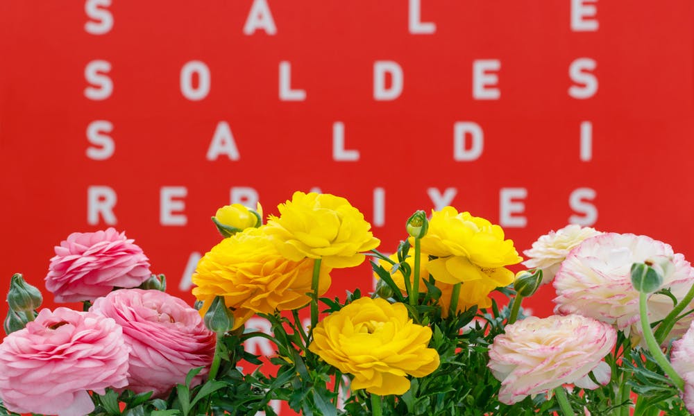 Diga 'Rosa' em Mais de 40 Idiomas Banner