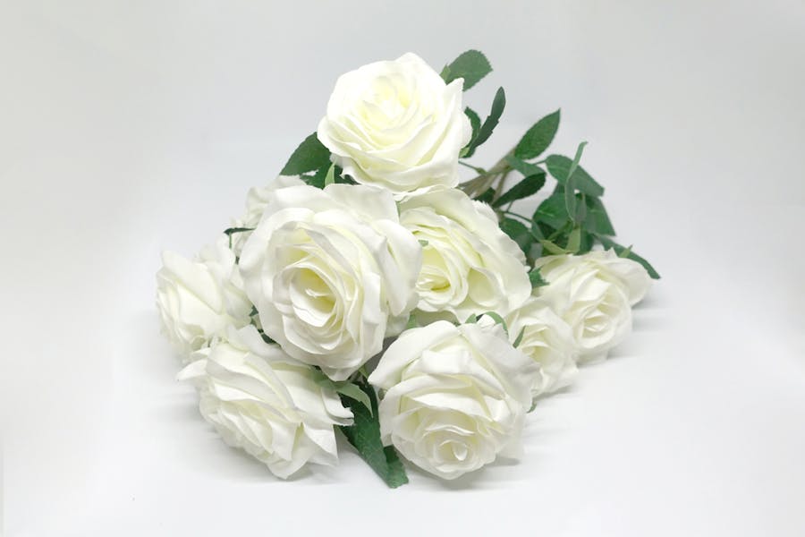 What Do White Roses Mean and Symbolize?