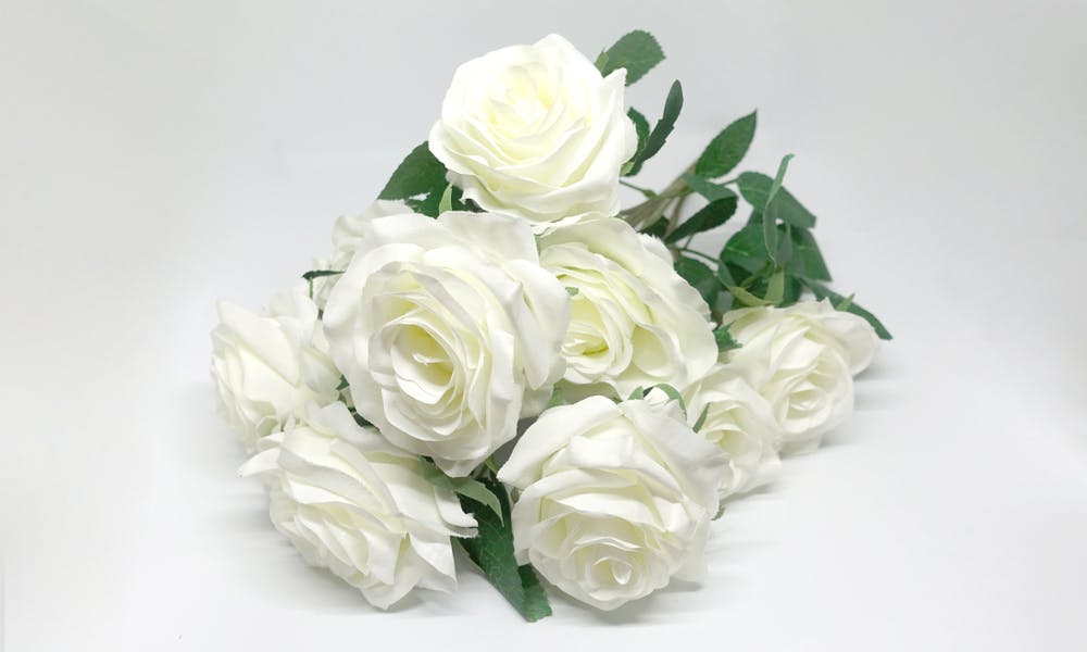 O que as rosas brancas significam e simbolizam? Banner