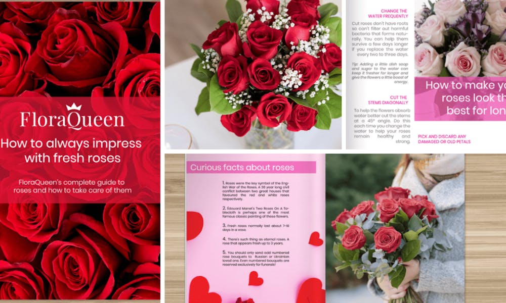 Tudo o que você precisa saber sobre rosas – Descubra nosso novo banner de eBook