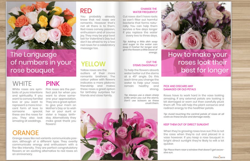 Dentro do eBook de rosas da FloraQueen