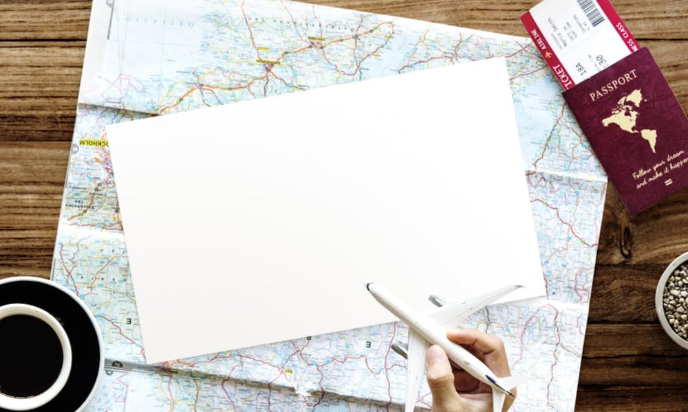 The Best Flowers To Send Someone Starting A New Life Abroad Banner