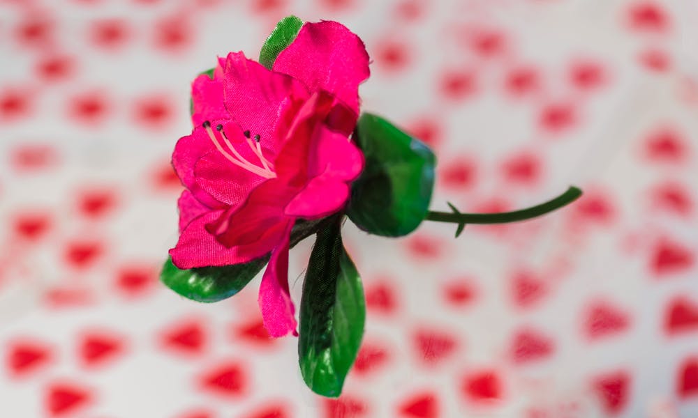 The Best Flowers for Condolences Banner