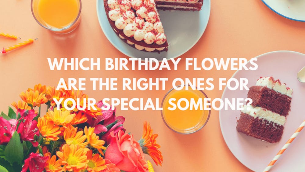 Which Birthday Flowers Are The Right Ones For Your Special Someone?