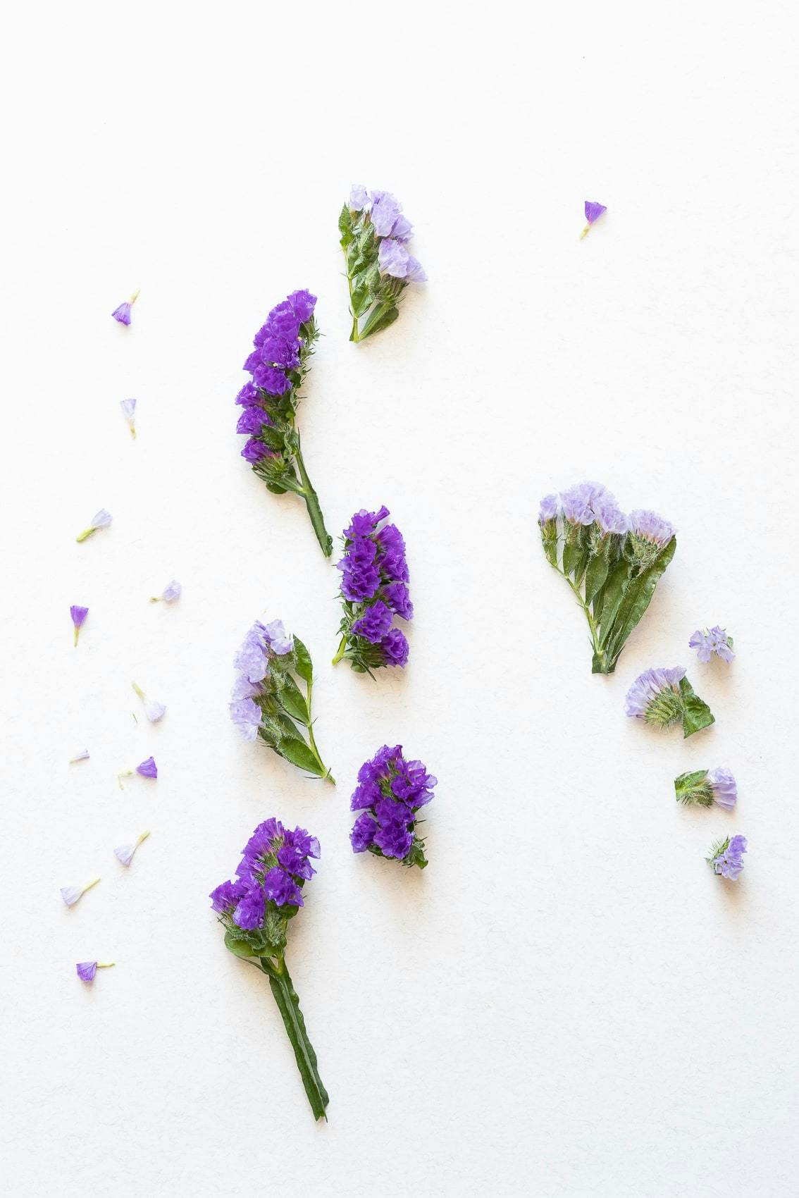 Statice flowers spread on a surface in different parts