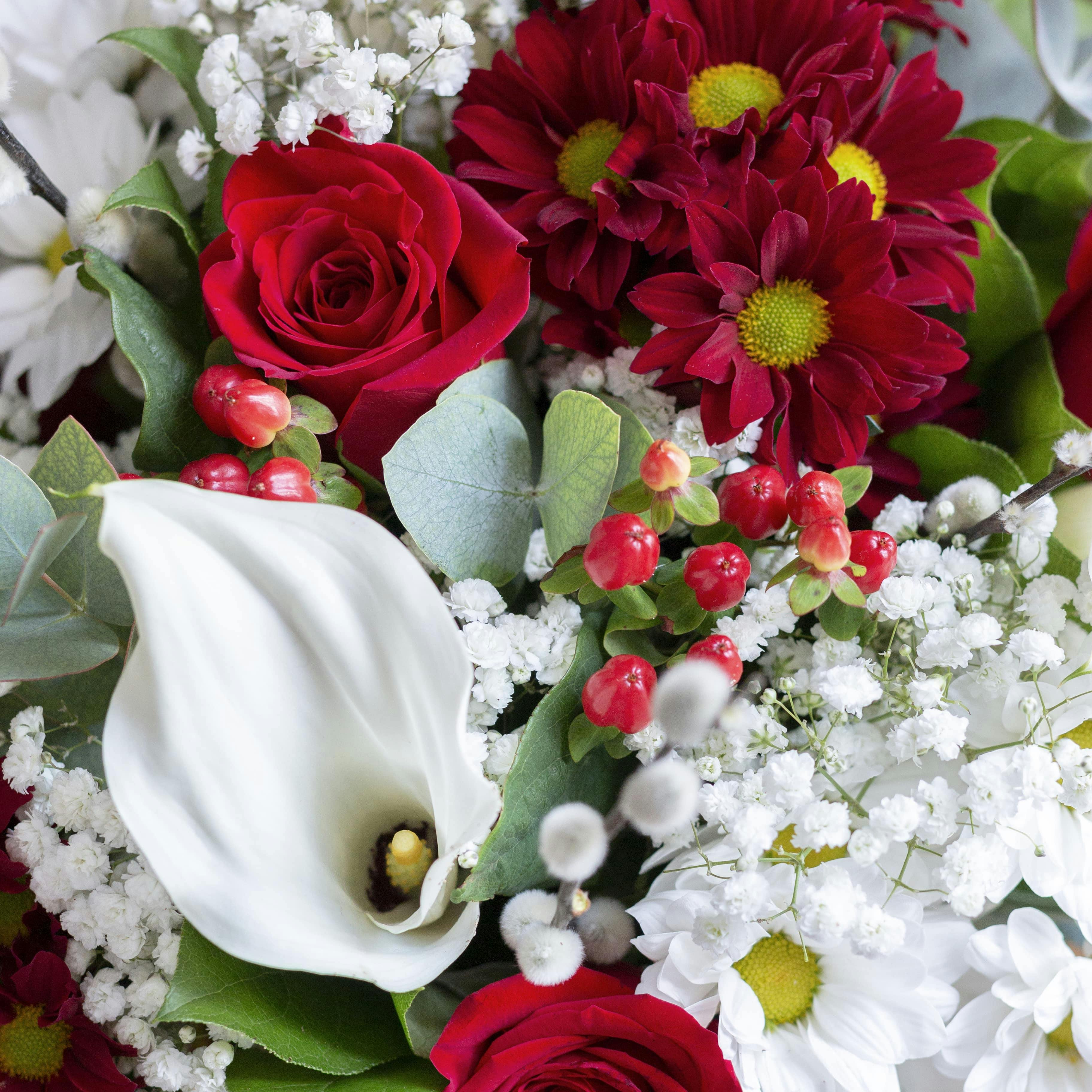 callas roses chrysanthemums closeup