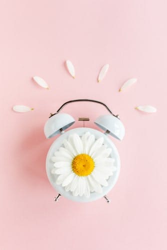 Alarm clock flowers