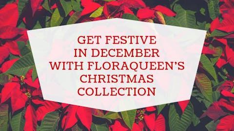 Get Festive In December With FloraQueen’s Christmas Collection