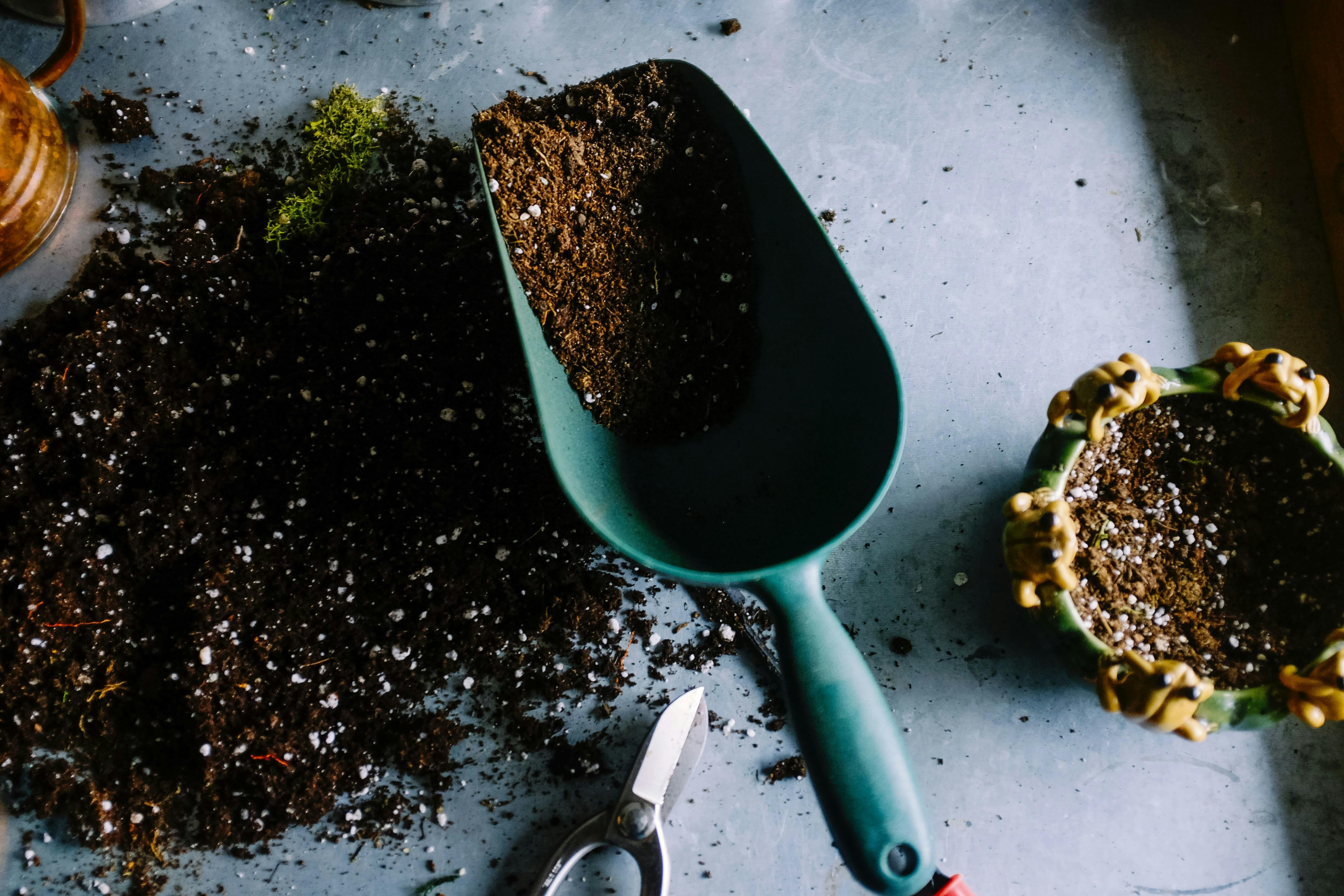 trowel full of earth on table