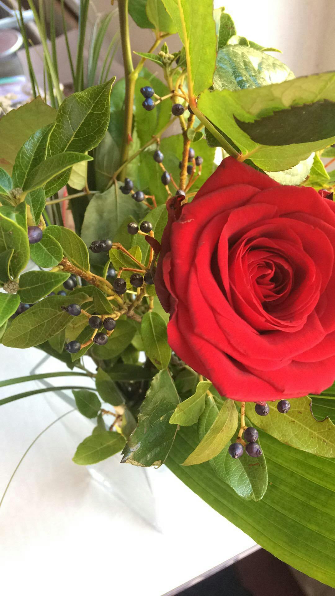 red rose with greenery closeup in glass vase