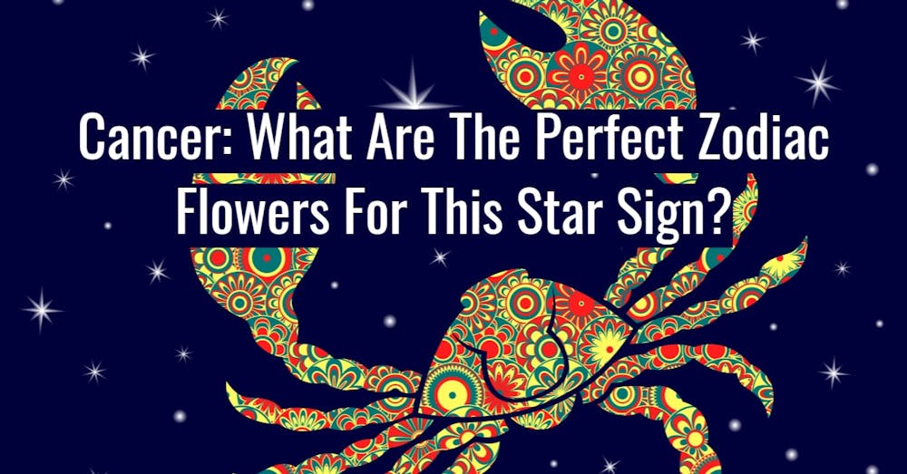 Cancer: What Are The Perfect Zodiac Flowers For This Star Sign?