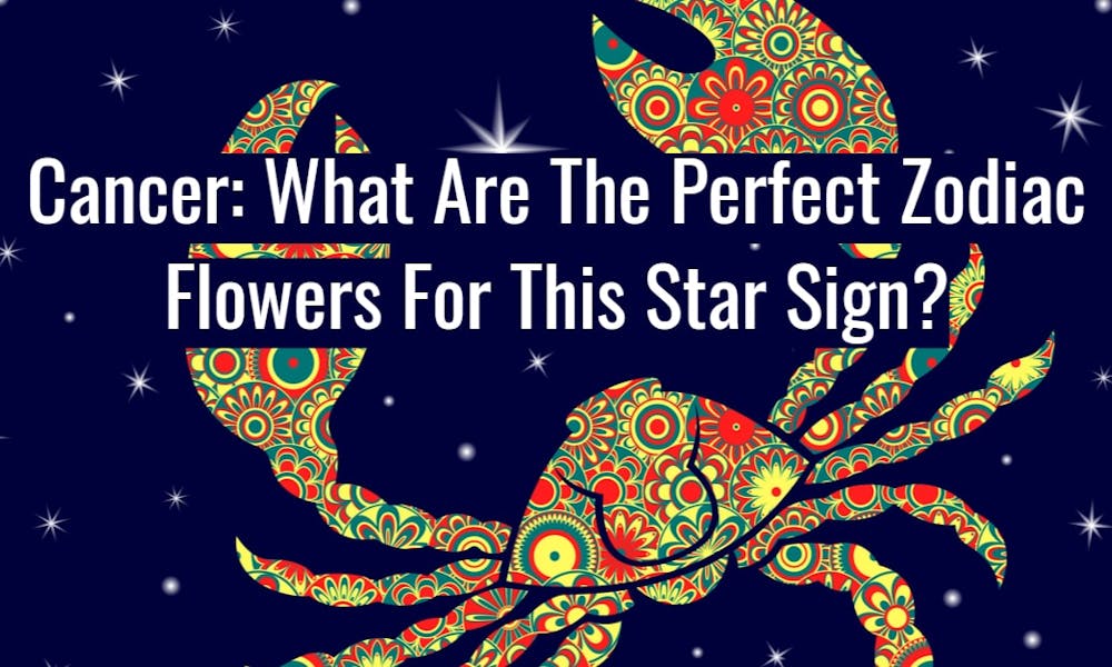 Cancer: What Are The Perfect Zodiac Flowers For This Star Sign? Banner