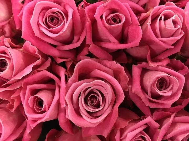 The Perfect Flowers to Surprise A Lucky Libra With