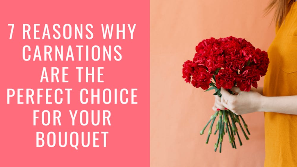 7 Reasons Why Carnations Are The Perfect Choice For Your Bouquet