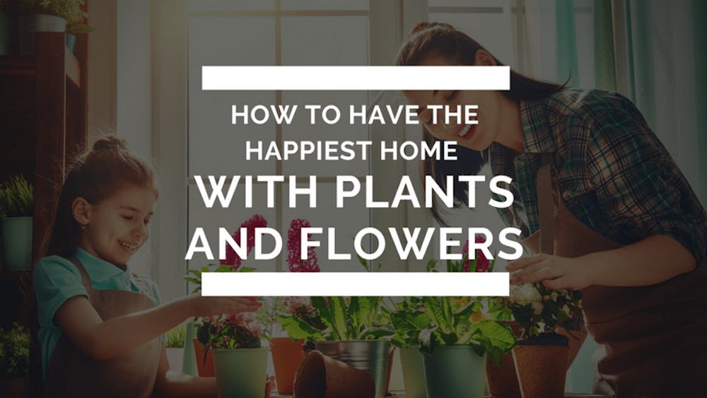 How To Have The Happiest Home With Plants and Flowers