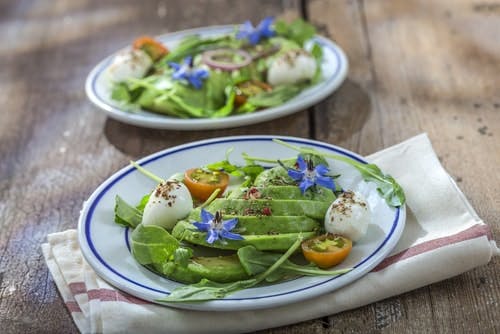 Borage on Avocado