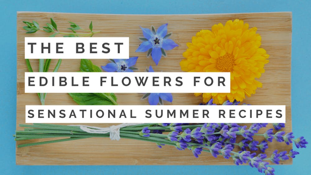 The Best Edible Flowers For Sensational Summer Recipes