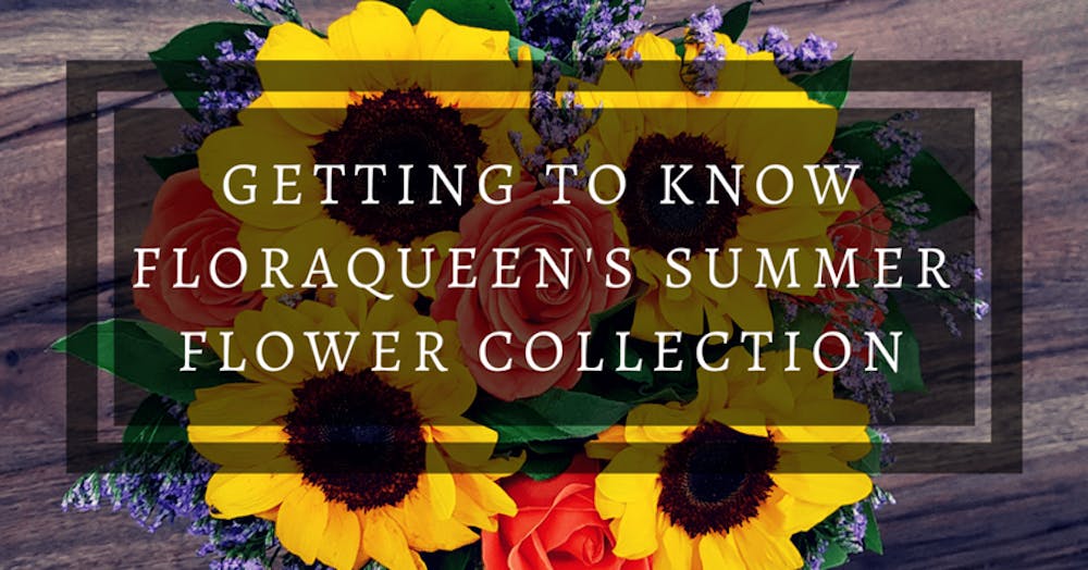 Getting to Know FloraQueen’s Summer Flower Collection