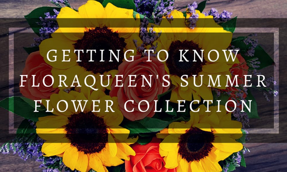 Conociendo la colección de flores de verano de FloraQueen