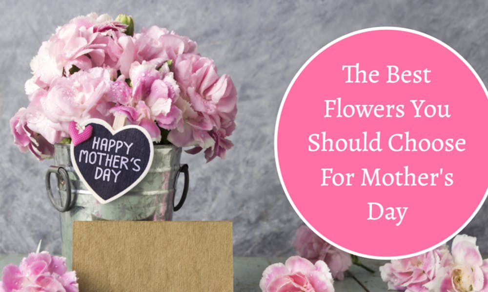 Best Flowers For Mother’s Day Banner