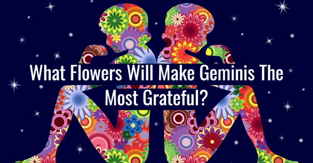 What Flowers Will Make Geminis The Most Grateful?