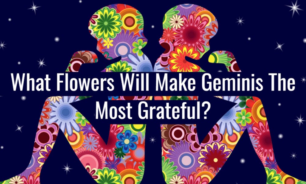 Quais flores farão os geminianos mais gratos? Banner