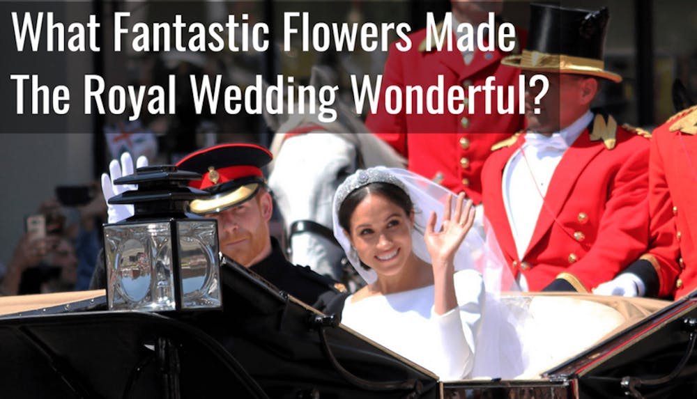 What Fantastic Flowers Made The Royal Wedding Wonderful?