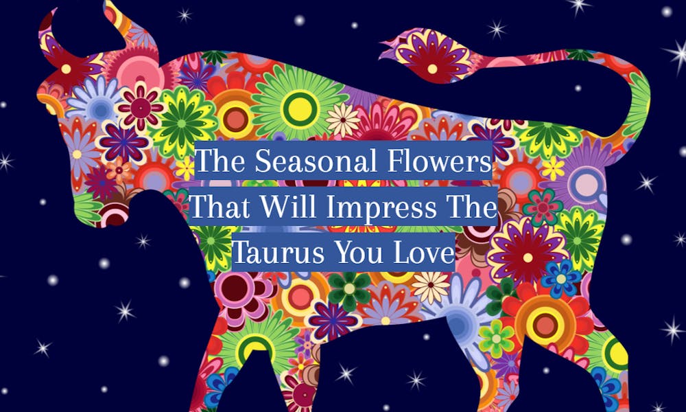 Die saisonalen Blumen, die den Stier Ihrer Liebe beeindrucken werden Banner