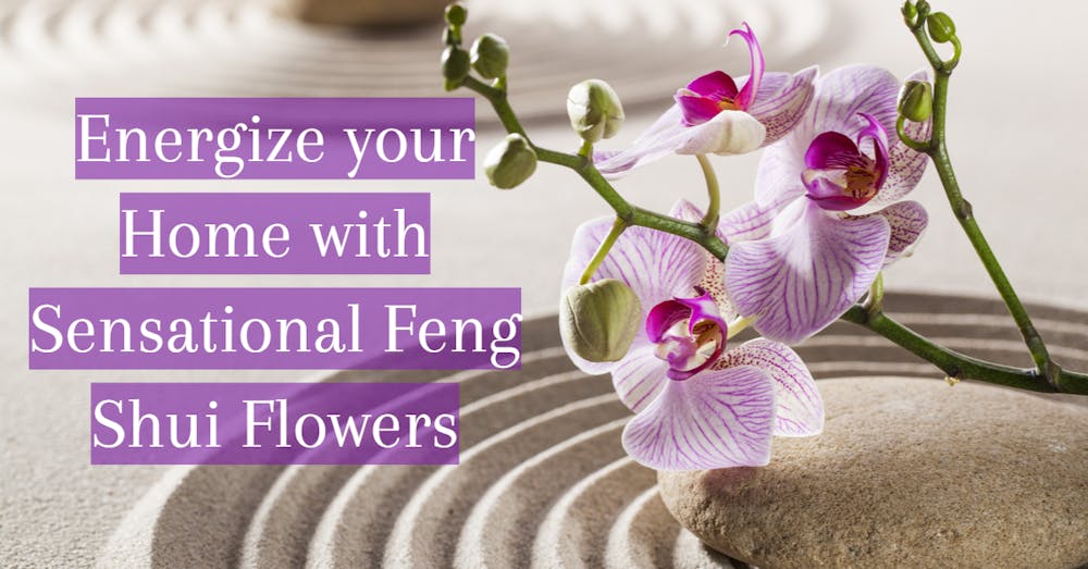 Energize your Home with Sensational Feng Shui Flowers