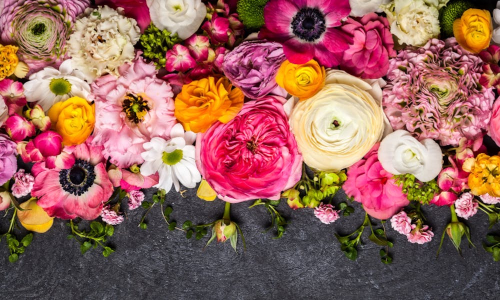 As Melhores Alternativas às Rosas do Dia dos Namorados