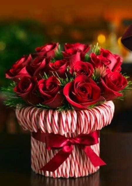 Red roses in candy cane vase