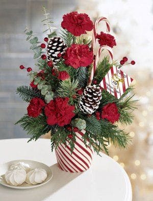 Christmas bouquet of carnations pinecones and candy canes