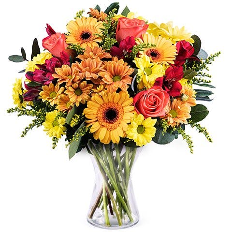 Mango: Orange Roses and Gerbera