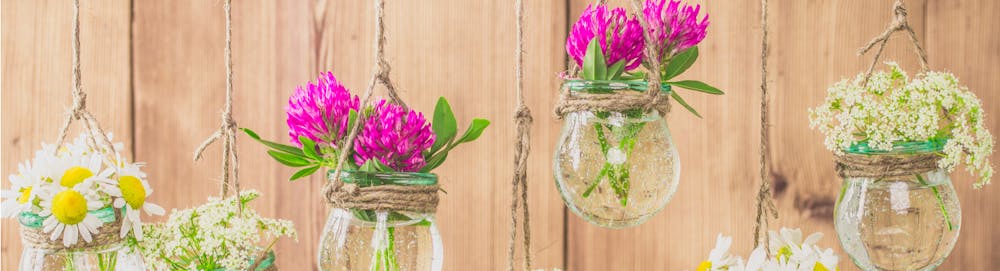 How Long Do Cut Flowers Last in a Vase?