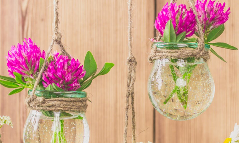 Wie lange halten Schnittblumen in einer Vase? Banner