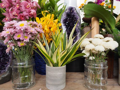 Flowers in vases