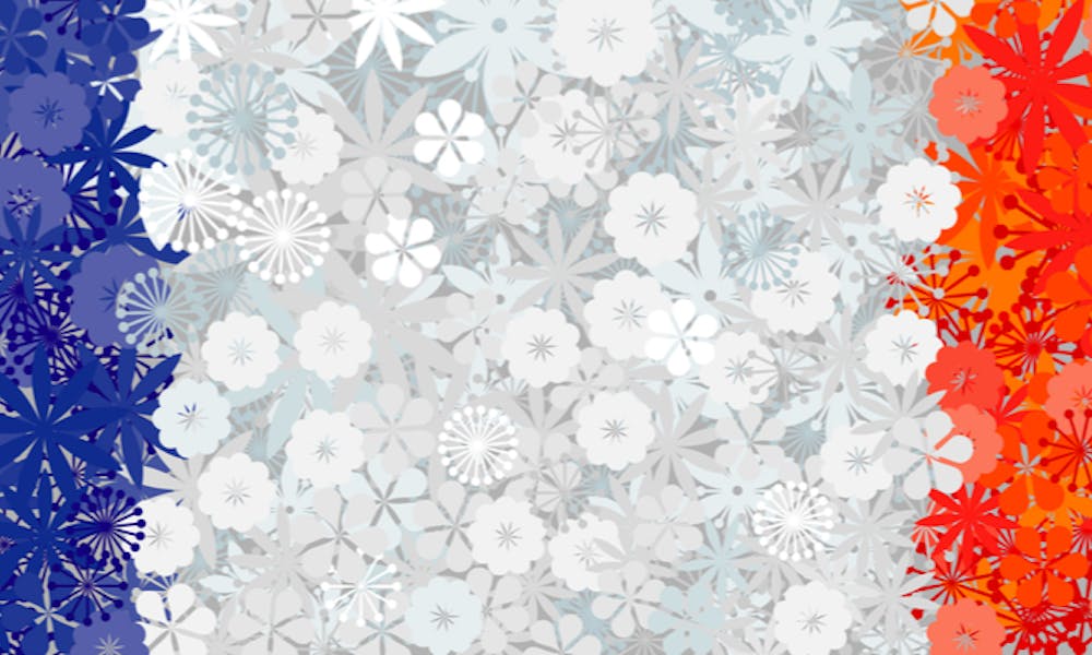 Quer enviar flores para a França? Leia isso primeiro! Banner
