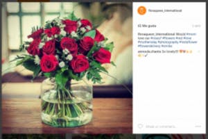 flora queen instagram uluslararası çiçekler