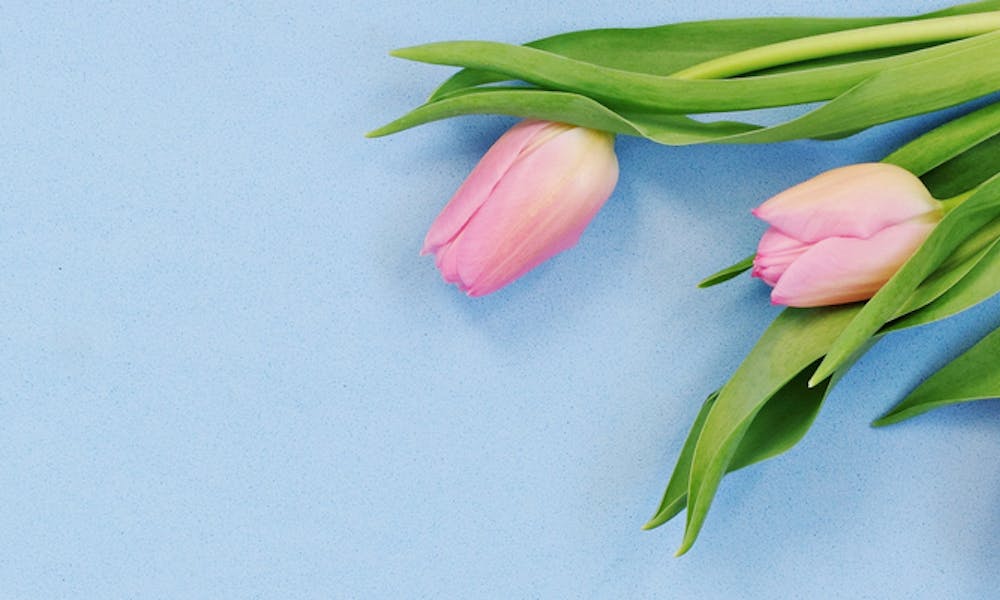 Decoration ideas for the spring Banner