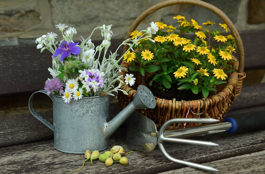 5 Health Benefits of Gardening