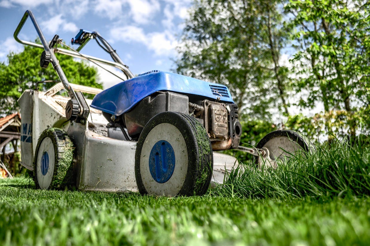 Health Benefits Gardening 