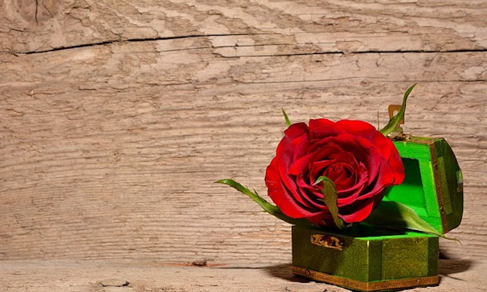Red Rose for Mother’s Day Banner