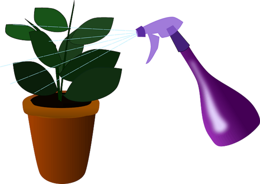 Some plant care mistakes to avoid